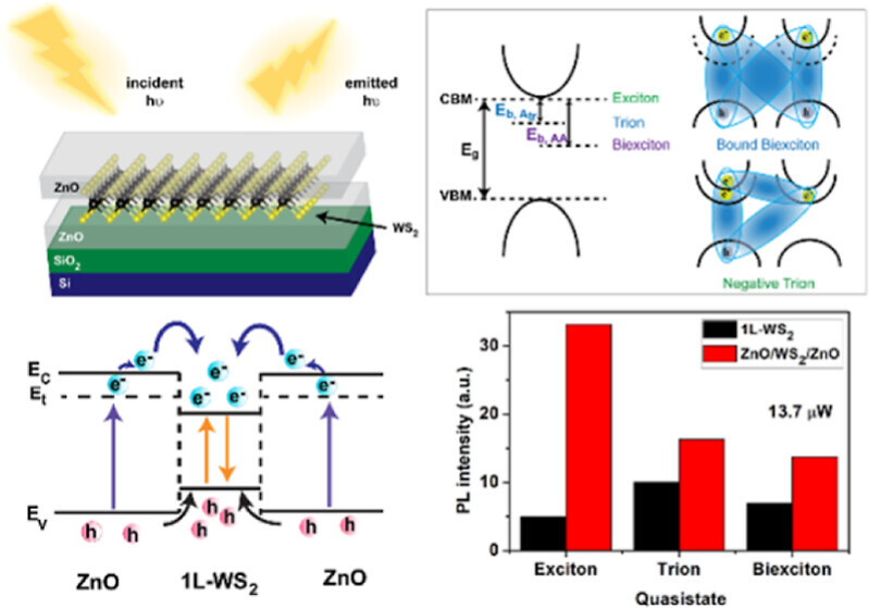 Bilayer WS₂